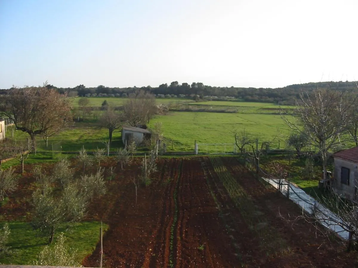 Apartment Pula 7420A